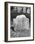 The Grave Site of an Accused Witch Coloiohn Hathorne-null-Framed Photographic Print