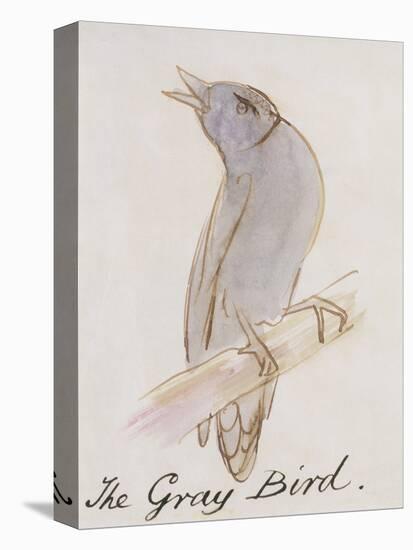 The Gray Bird, from "Sixteen Drawings of Comic Birds"-Edward Lear-Stretched Canvas