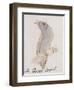 The Gray Bird, from "Sixteen Drawings of Comic Birds"-Edward Lear-Framed Giclee Print