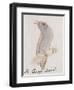 The Gray Bird, from "Sixteen Drawings of Comic Birds"-Edward Lear-Framed Giclee Print