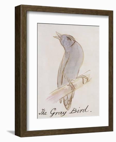 The Gray Bird, from "Sixteen Drawings of Comic Birds"-Edward Lear-Framed Premium Giclee Print