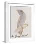 The Gray Bird, from "Sixteen Drawings of Comic Birds"-Edward Lear-Framed Giclee Print