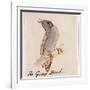 The Gray Bird-Edward Lear-Framed Giclee Print