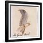 The Gray Bird-Edward Lear-Framed Giclee Print