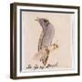 The Gray Bird-Edward Lear-Framed Giclee Print