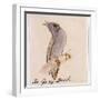 The Gray Bird-Edward Lear-Framed Giclee Print