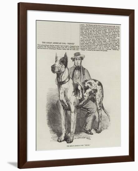 The Great American Dog Prince-Harrison William Weir-Framed Giclee Print