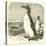 The Great Auk, Alca Impennis-null-Stretched Canvas