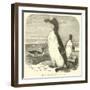 The Great Auk, Alca Impennis-null-Framed Giclee Print