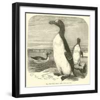 The Great Auk, Alca Impennis-null-Framed Giclee Print