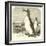 The Great Auk, Alca Impennis-null-Framed Giclee Print