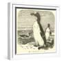 The Great Auk, Alca Impennis-null-Framed Giclee Print