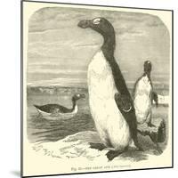 The Great Auk, Alca Impennis-null-Mounted Giclee Print