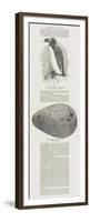 The Great Auk's Egg-John Everett Millais-Framed Premium Giclee Print