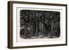 The Great Banyan-null-Framed Giclee Print