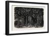 The Great Banyan-null-Framed Giclee Print