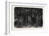 The Great Banyan-null-Framed Giclee Print