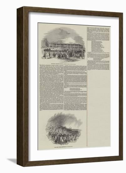 The Great Berkshire (United States) Jubilee-null-Framed Giclee Print