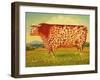 The Great Bull, 1998-Frances Broomfield-Framed Giclee Print