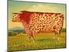 The Great Bull, 1998-Frances Broomfield-Mounted Premium Giclee Print