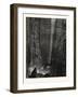 The Great Canyon of the Colorado: Raft Precipitated over a Cataract-null-Framed Giclee Print