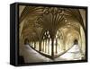 The Great Cloisters, Canterbury Cathedral, UNESCO World Heritage Site, Canterbury, Kent, England-Peter Barritt-Framed Stretched Canvas