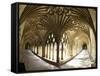 The Great Cloisters, Canterbury Cathedral, UNESCO World Heritage Site, Canterbury, Kent, England-Peter Barritt-Framed Stretched Canvas