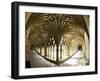 The Great Cloisters, Canterbury Cathedral, UNESCO World Heritage Site, Canterbury, Kent, England-Peter Barritt-Framed Premium Photographic Print