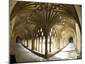 The Great Cloisters, Canterbury Cathedral, UNESCO World Heritage Site, Canterbury, Kent, England-Peter Barritt-Mounted Photographic Print