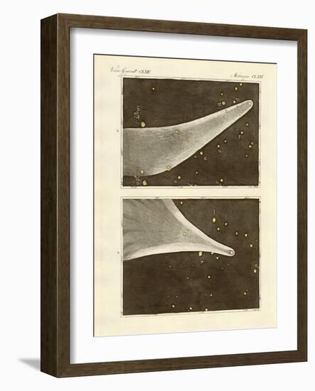 The Great Comet of the Year 1811-null-Framed Giclee Print