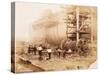 The Great Eastern under Construction, 19th Century-Robert Howlett-Stretched Canvas