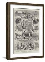 The Great Egg Question, Sketches at a Poultry Farm-null-Framed Giclee Print