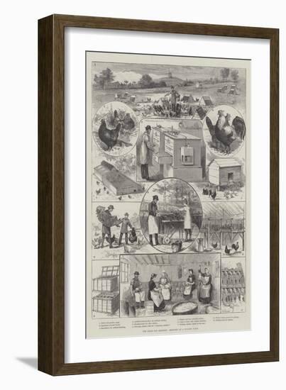 The Great Egg Question, Sketches at a Poultry Farm-null-Framed Giclee Print