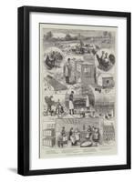 The Great Egg Question, Sketches at a Poultry Farm-null-Framed Giclee Print