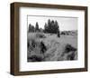 The Great Escape-null-Framed Photo