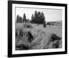 The Great Escape-null-Framed Photo