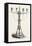 The Great Exhibition: Horn Candlestick-null-Framed Stretched Canvas