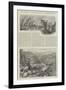 The Great Flood Disaster in Pennsylvania-null-Framed Giclee Print