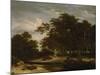 The Great Forest, C. 1660-Jacob Isaacksz Van Ruisdael-Mounted Giclee Print