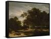 The Great Forest, C. 1660-Jacob Isaacksz Van Ruisdael-Framed Stretched Canvas