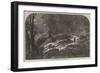 The Great Geological Wonder of New South Wales-null-Framed Giclee Print