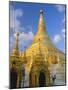 The Great Golden Stupa, Shwedagon Paya (Shwe Dagon Pagoda), Yangon (Rangoon), Myanmar (Burma)-Gavin Hellier-Mounted Photographic Print