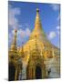 The Great Golden Stupa, Shwedagon Paya (Shwe Dagon Pagoda), Yangon (Rangoon), Myanmar (Burma)-Gavin Hellier-Mounted Photographic Print