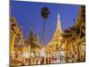 The Great Golden Stupa, Shwedagon Paya (Shwe Dagon Pagoda), Yangon (Rangoon), Myanmar (Burma)-Peter Adams-Mounted Photographic Print