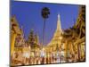 The Great Golden Stupa, Shwedagon Paya (Shwe Dagon Pagoda), Yangon (Rangoon), Myanmar (Burma)-Peter Adams-Mounted Photographic Print