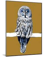 The Great Grey Owl on Golden Yellow, 2020, (Pen and Ink)-Mike Davis-Mounted Giclee Print