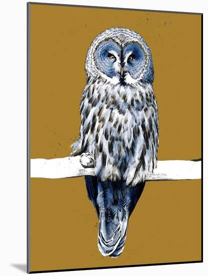 The Great Grey Owl on Golden Yellow, 2020, (Pen and Ink)-Mike Davis-Mounted Giclee Print