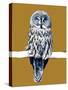 The Great Grey Owl on Golden Yellow, 2020, (Pen and Ink)-Mike Davis-Stretched Canvas