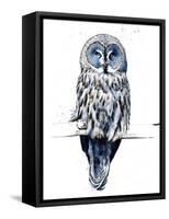 The Great Grey Owl on White, 2019, (Pen and Ink)-Mike Davis-Framed Stretched Canvas