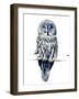 The Great Grey Owl on White, 2019, (Pen and Ink)-Mike Davis-Framed Giclee Print